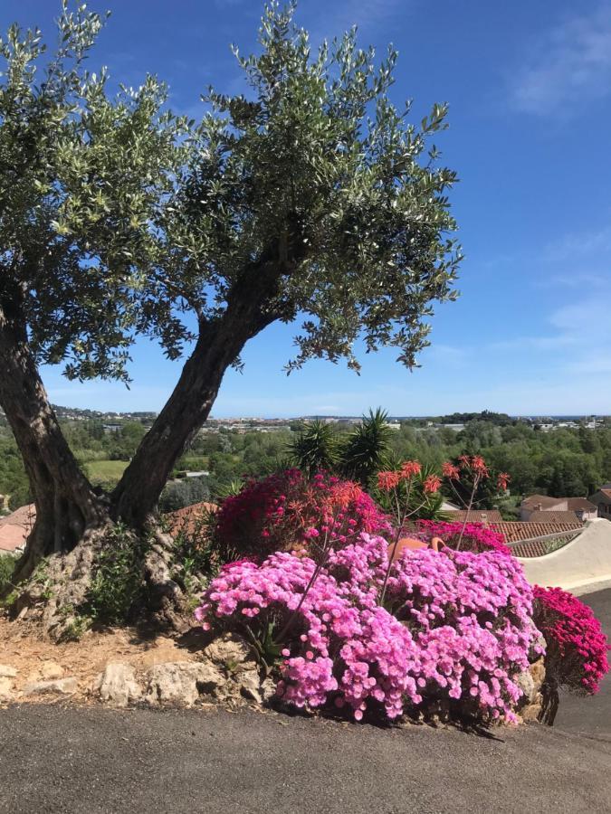 3 Bedrooms Villa Near Cannes - Pool & Jacuzzi - Sea View ماندوليو لا نابول المظهر الخارجي الصورة
